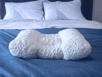 SpineAlign Pillow Review (2023) - Mattress Clarity